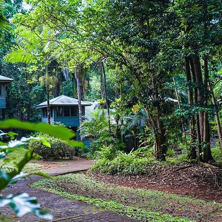 Ferntree Rainforest Lodge Cape Tribulation Extérieur photo
