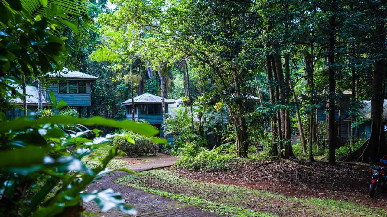 Ferntree Rainforest Lodge Cape Tribulation Extérieur photo
