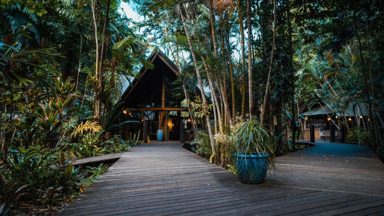 Ferntree Rainforest Lodge Cape Tribulation Extérieur photo