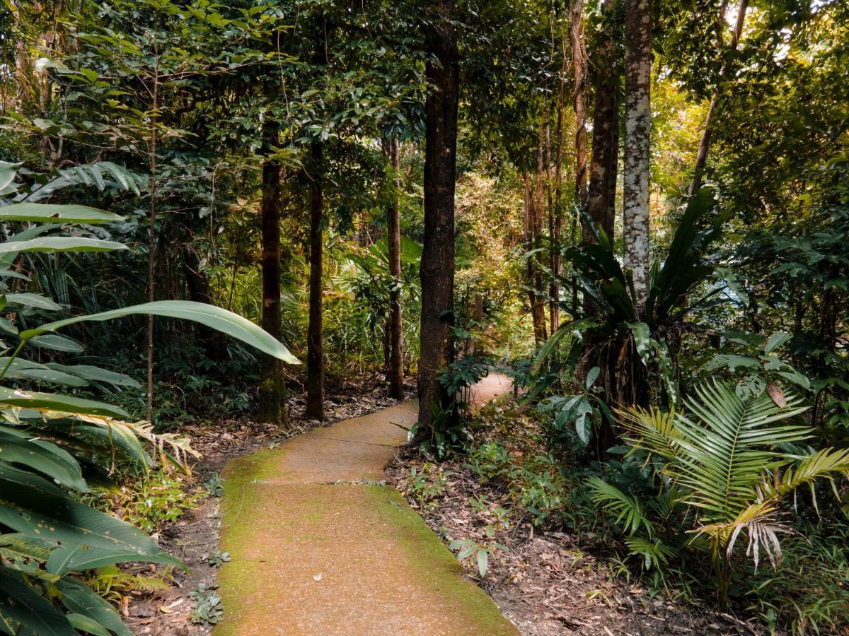 Ferntree Rainforest Lodge Cape Tribulation Extérieur photo