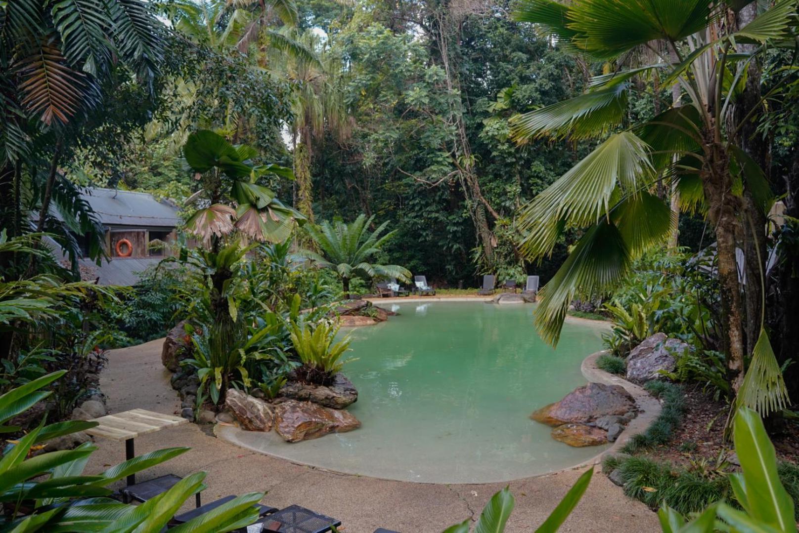 Ferntree Rainforest Lodge Cape Tribulation Extérieur photo