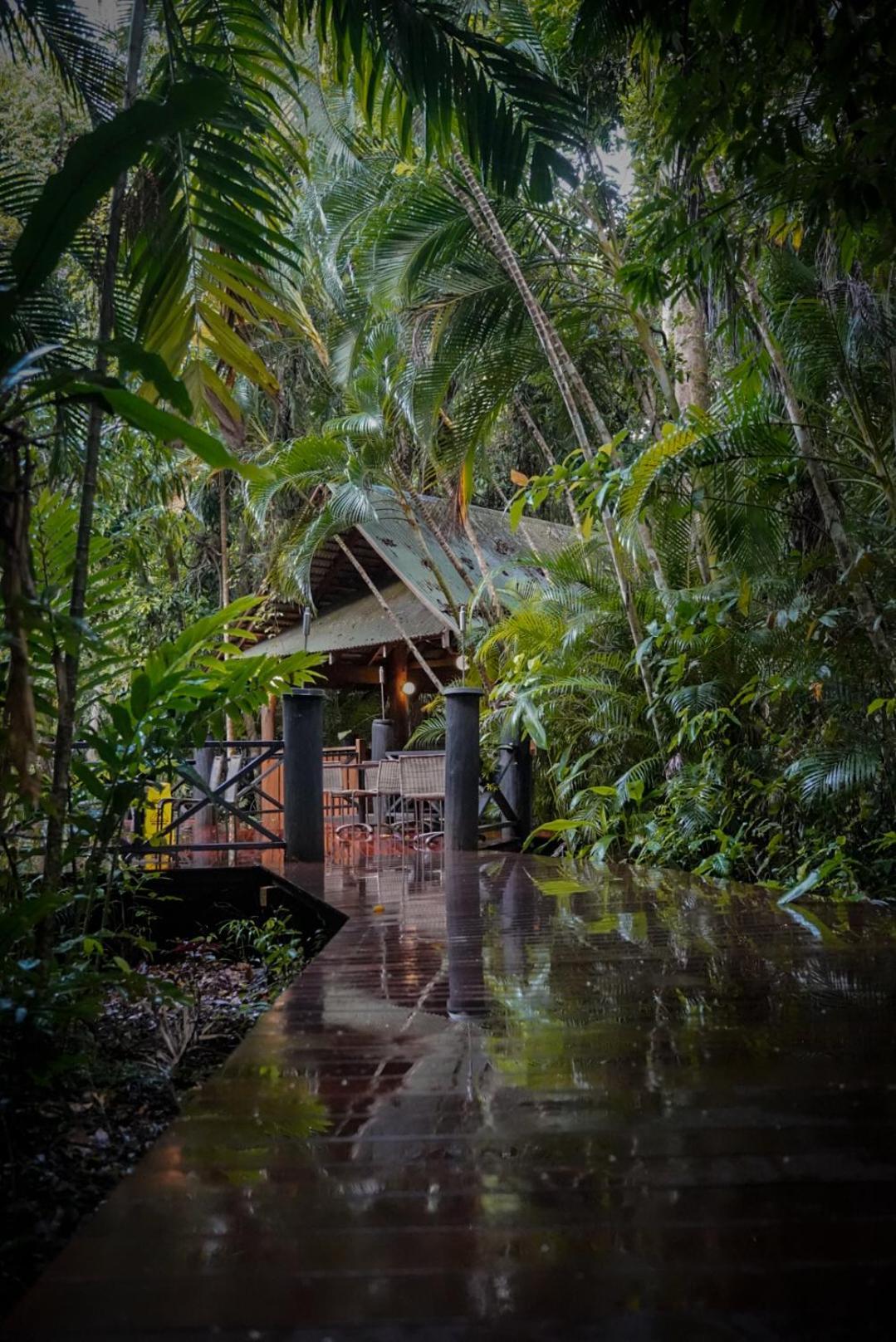 Ferntree Rainforest Lodge Cape Tribulation Extérieur photo
