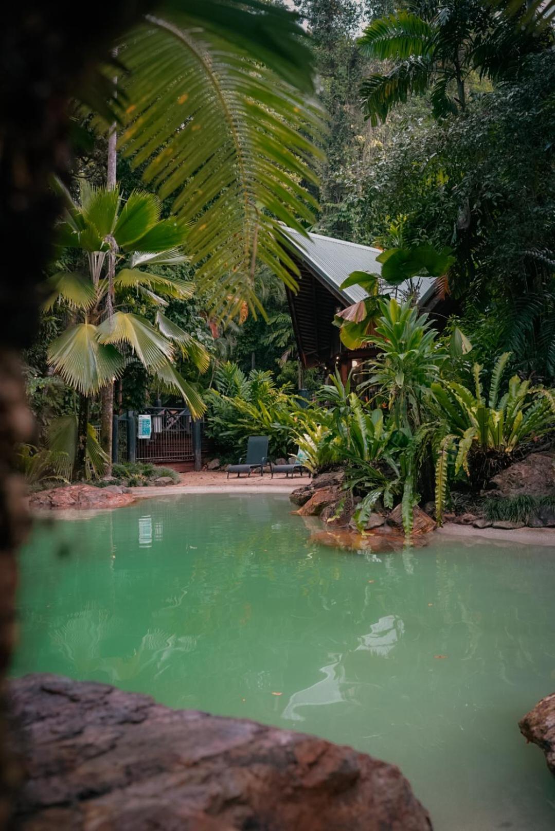 Ferntree Rainforest Lodge Cape Tribulation Extérieur photo