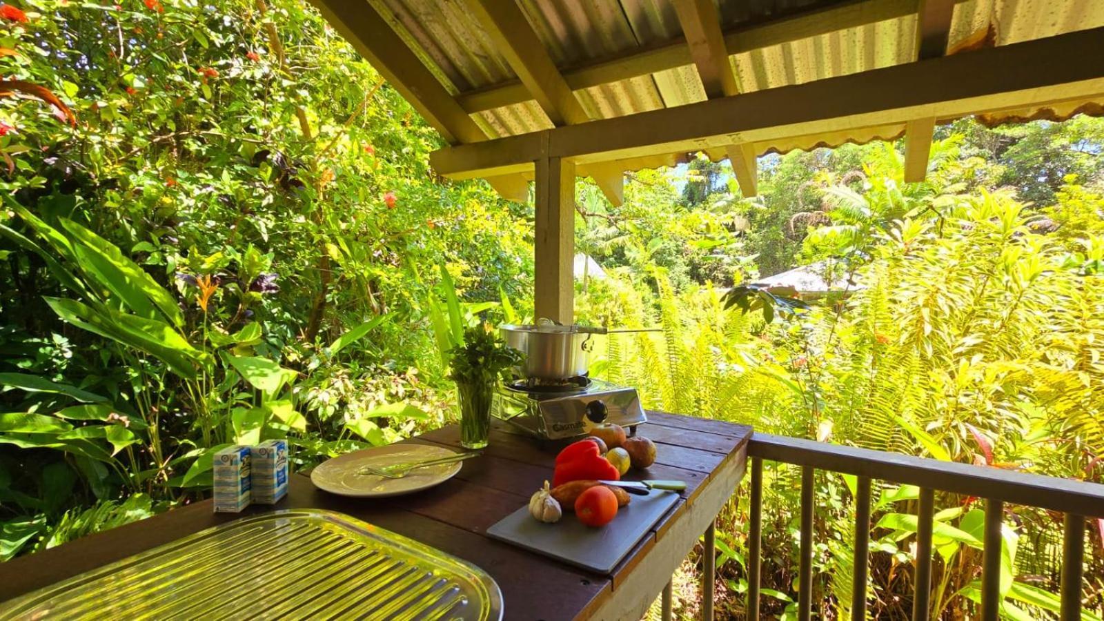 Ferntree Rainforest Lodge Cape Tribulation Extérieur photo