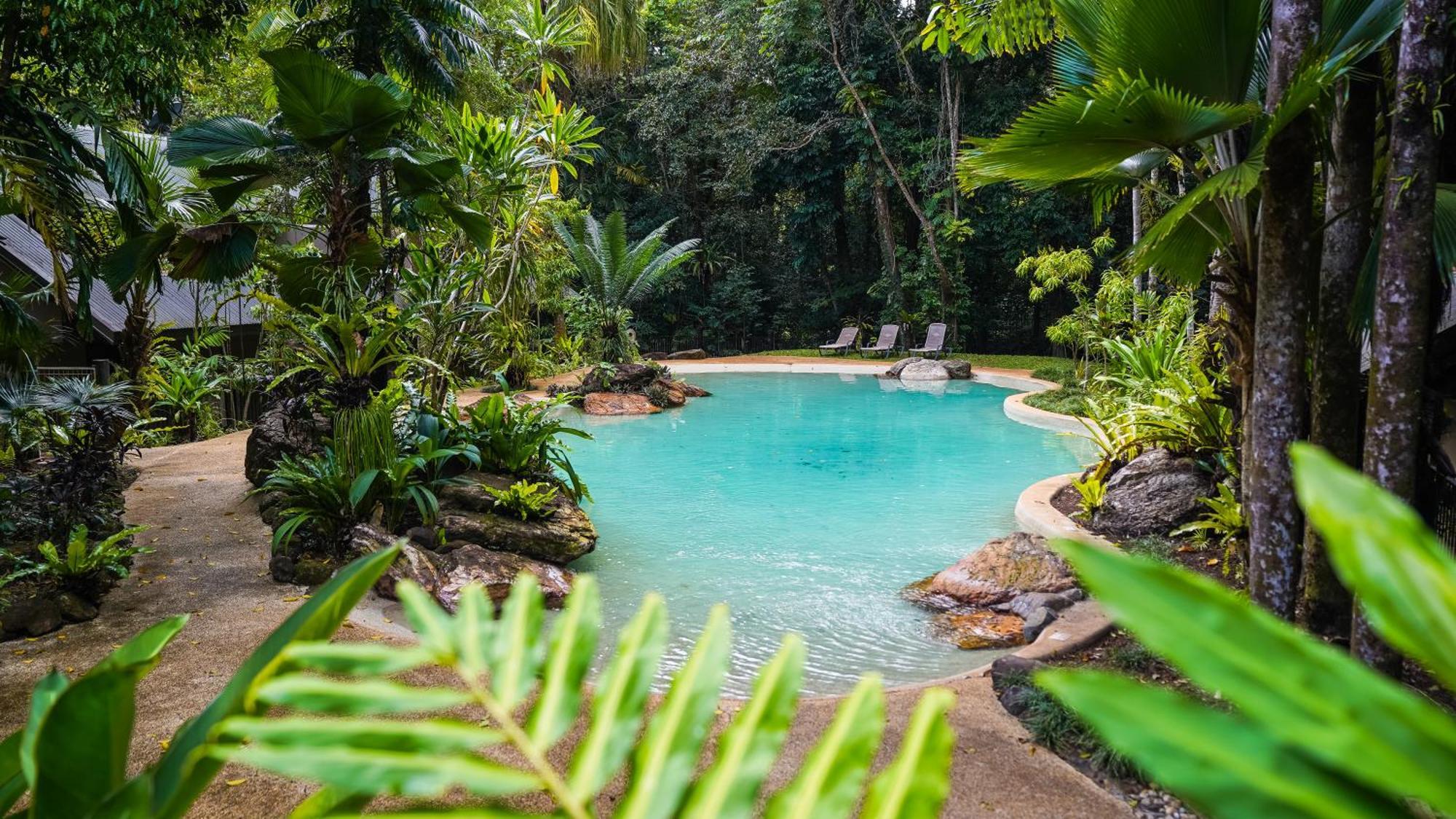 Ferntree Rainforest Lodge Cape Tribulation Extérieur photo