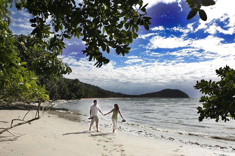 Ferntree Rainforest Lodge Cape Tribulation Extérieur photo