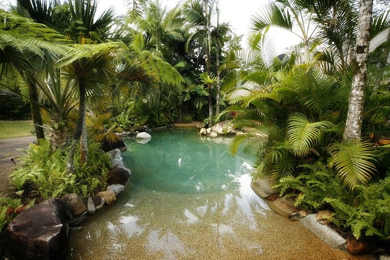 Ferntree Rainforest Lodge Cape Tribulation Facilités photo