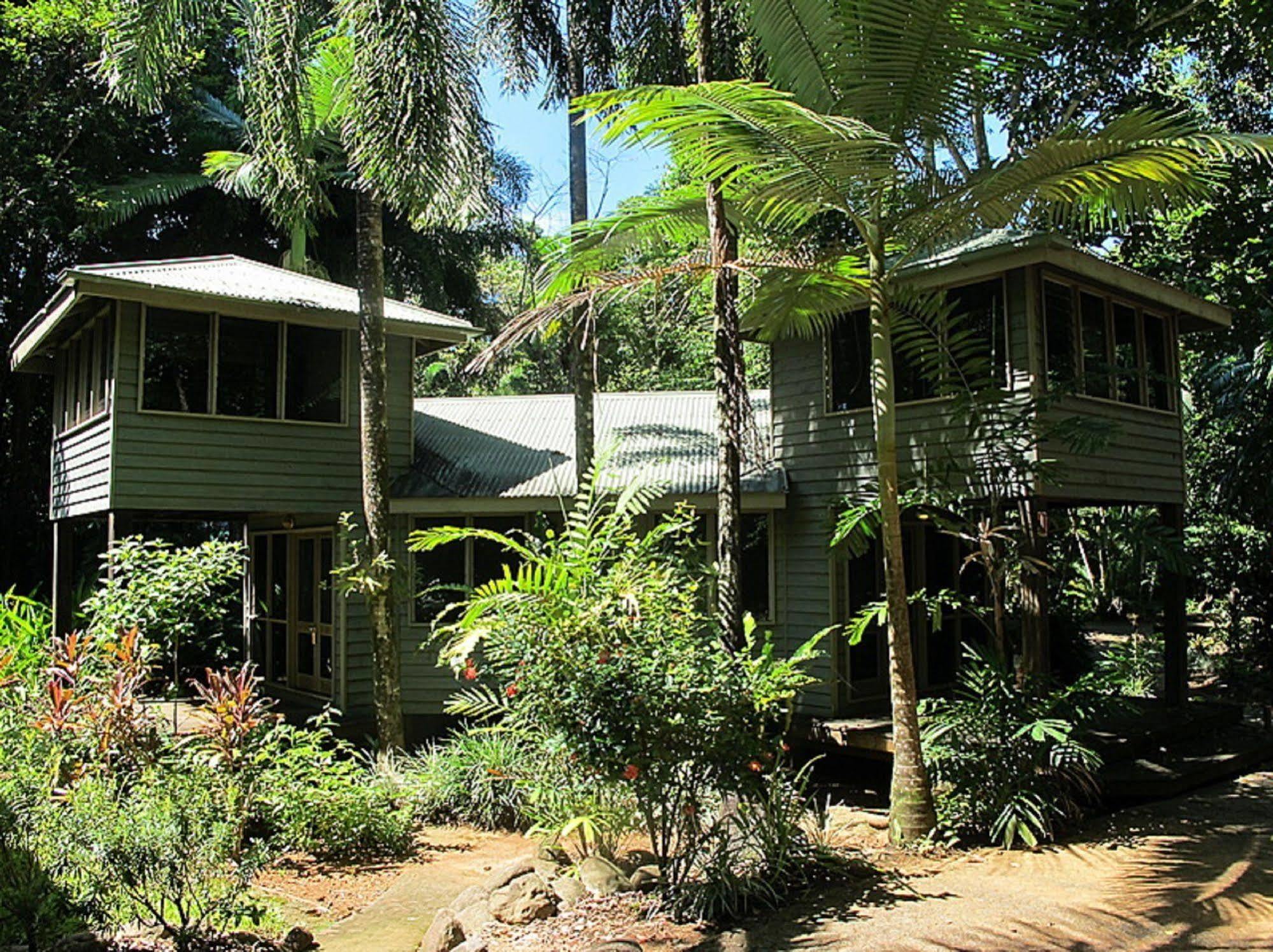 Ferntree Rainforest Lodge Cape Tribulation Extérieur photo