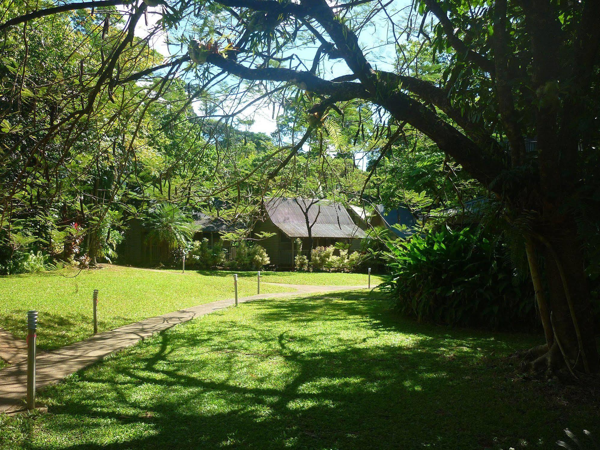 Ferntree Rainforest Lodge Cape Tribulation Extérieur photo