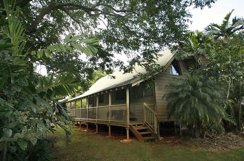 Ferntree Rainforest Lodge Cape Tribulation Extérieur photo