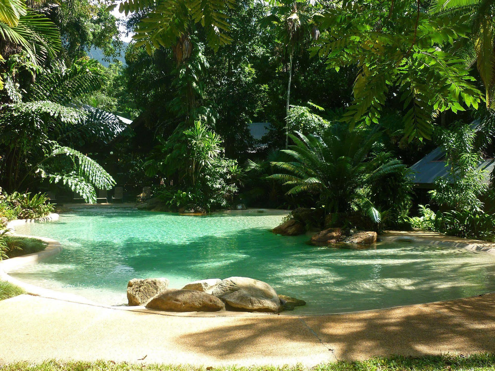 Ferntree Rainforest Lodge Cape Tribulation Extérieur photo
