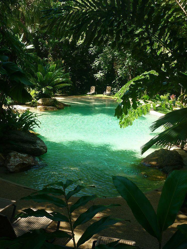 Ferntree Rainforest Lodge Cape Tribulation Extérieur photo